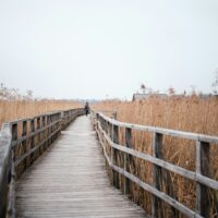 lovepath