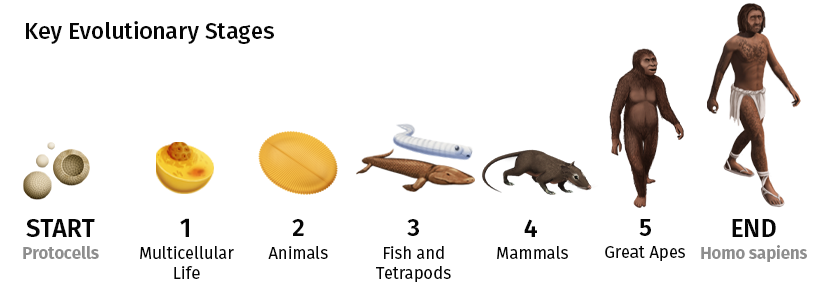 Visual timeline showing the evolution of life from a single cell to modern humans.