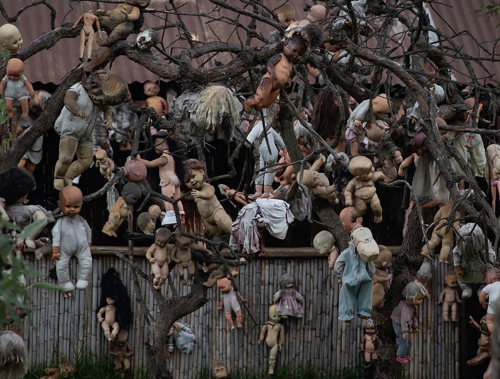 island of doll Mexico